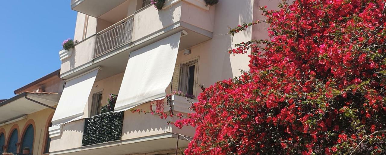 アルゲーロCasa Di Menaアパートメント エクステリア 写真